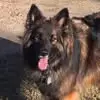 Mary Deroche - @mary.deroche - TikTok