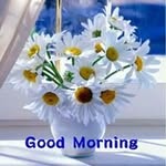 Mary Dery - @mary.dery.1694 - Instagram