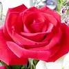 MARY DERY - @mary.dery60 - TikTok