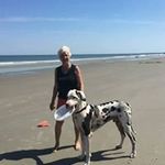 Mary Devine - @buddymur - Instagram