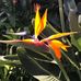 Mary DeVries - Facebook
