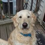 Mary Dewitt - @marydewitt4586 - Instagram