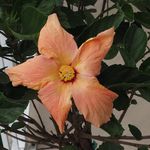 Mary Diebold Burroughs - @banfimar - Instagram