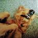 Mary Digiacomo - Facebook