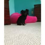 Mary Digiacomo - @laxralerttight - Instagram