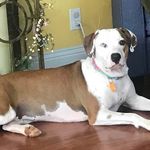 Mary Jo Diller - @marydiller464 - Instagram