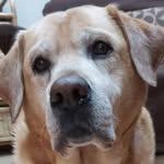 Mary Di Maggio - @mary.dimaggio66 - Instagram