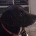 Mary DiNatale - Facebook