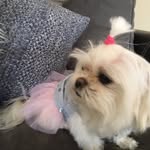 Marydinatale - @marydinatale16 - Instagram