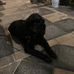 Mary Dingley - Facebook