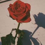 ♡~mary~♡ - @mary_di_paolo - Instagram
