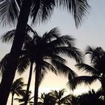 Mary Dishaw - @dishaw5 - Instagram