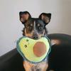 mary.ditmer - @mary.ditmer - TikTok