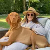 Mary Dittmar - @dittmary - TikTok