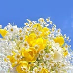 Mary Doan - Facebook