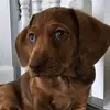 Mary Ellen Dobos Henderson - @mary.ellen.dobos - TikTok