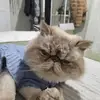 Mary Dokey - @mary.dokey - TikTok