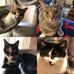 Mary-Margaret Dolansky Kohut - Facebook