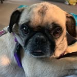 Mary Dolan - @mary.dolan.92372 - Instagram