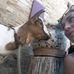 Mary Donini - Facebook