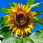 Mary Carole Dooling - @mcdooling1 - Instagram