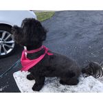 Mary Dooling - @doolingmary - Instagram
