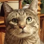 Mary Boughton Doolittle - @doolittlemary - Instagram