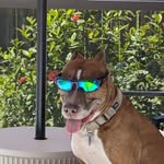 Mary Doolittle Gusha - @mgusha1 - Instagram