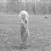 Mary Drabek Rockwell - Facebook