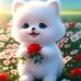 Mary Dsilva - Facebook