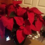Mary Dula - Facebook