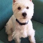Sharon Mary Dunkley - @shaz_du - Instagram