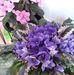 Mary Durocher - Facebook