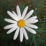 Mary - @mary.dust - Instagram