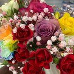 Mary - @marydustin41 - Instagram