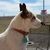 Maryann Eaglin - @maryann.eaglin - TikTok