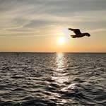 MaryanaHeckmann - @maryanaheckmann - Instagram