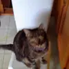 Mary Medlin - @mary.medlin - TikTok