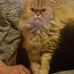 Marion Ehinger - Facebook