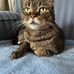 Mary A. Ehmann - Facebook