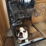 Mary Ehrlich - @marycehrlich - Instagram