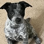 Mary Ehrlich - @mary.ehrlich.1 - Instagram