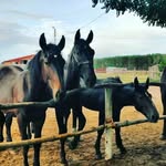 Mary Ehrlich - @ehrlich1438 - Instagram