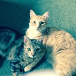 Mary Eichelberger - @eichelbergermary - Instagram