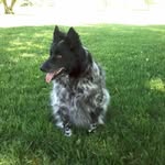 Mary Eilers - @eilersmary - Instagram