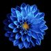Mary Eilert - Facebook