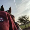 Marie Elbert - @marieelbert - TikTok