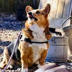 Mary Elbert - @maryelbert0411 - Instagram