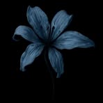 Mary Eli - Facebook