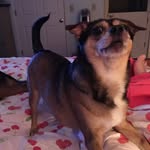 Mary Ellersieck - @maryellersieck - Instagram